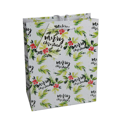 Shopping Custom Printed Paper Bags Kraft Paper Beautiful Christmas Gift Bags